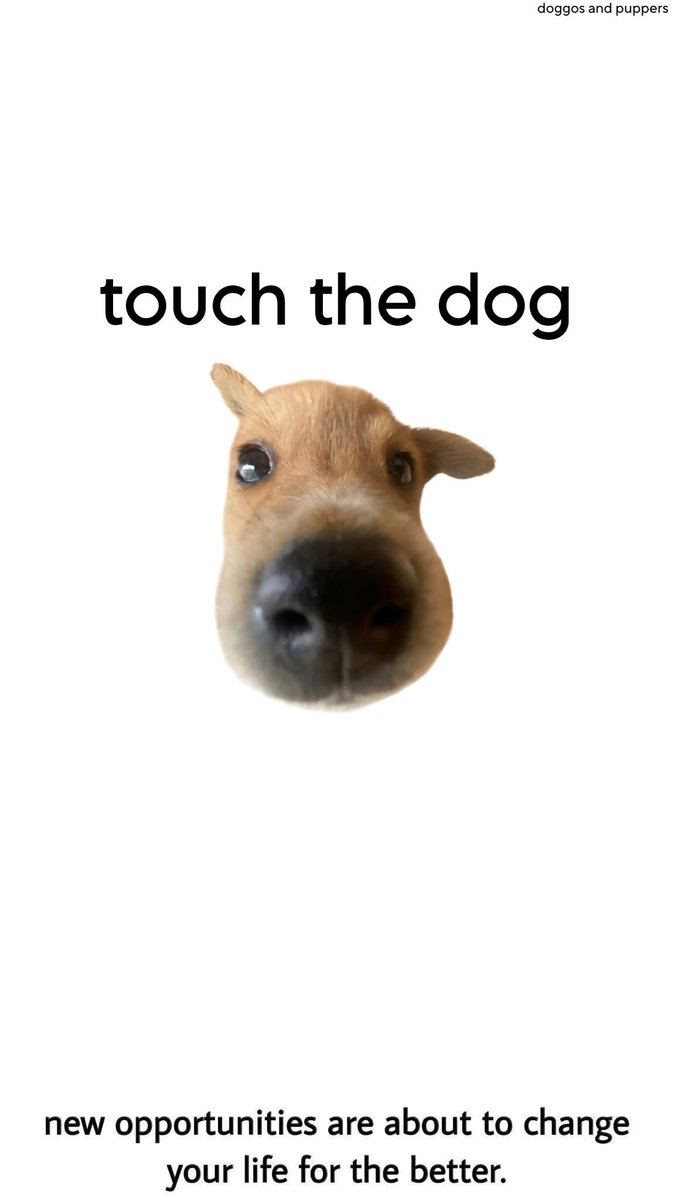 Puppies 🐶 (@puppiesiover) on Twitter photo 