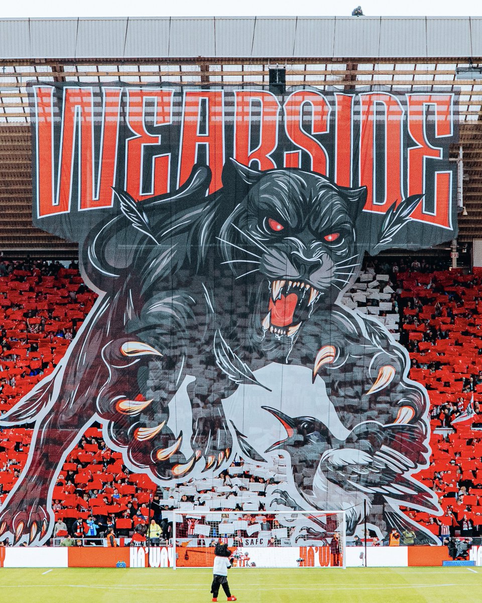 SunderlandAFC's tweet image. The tifo says it all.