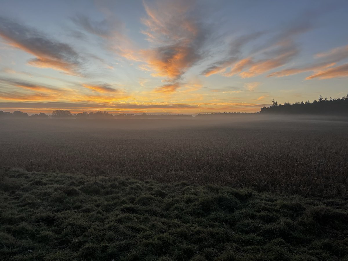 blanco586's tweet photo. A beautiful morning walk today and watching the sun rise from the horizon is absolute magnificent 💯👏 #NatureBeauty https://t.co/elCkzMEUpR