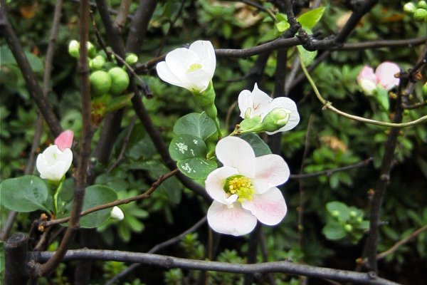 占いサロン順震(原宿当たる占い師5選、ヤフー占い売上No1占い師）12