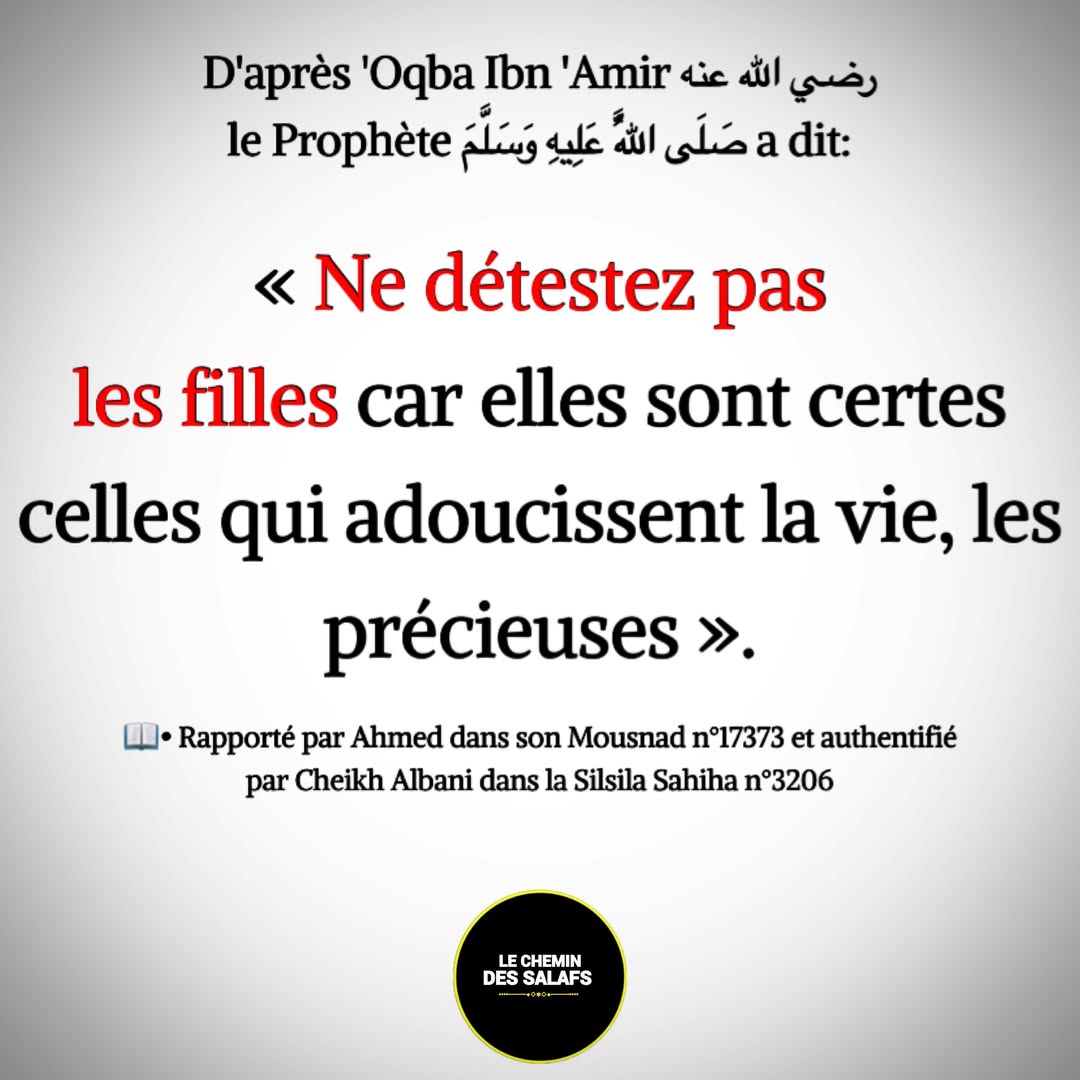 moussa_tawhid tweet media