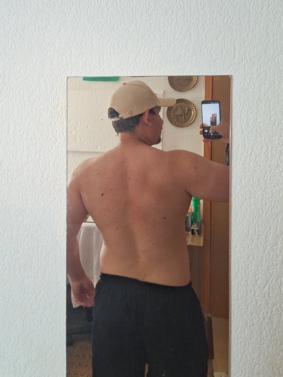 eu tava começando a ter sinais de dorsal, daí passei um mês praticamente sem ir pra academia e comendo até o reboco das paredes kkkk

agora só em 2026