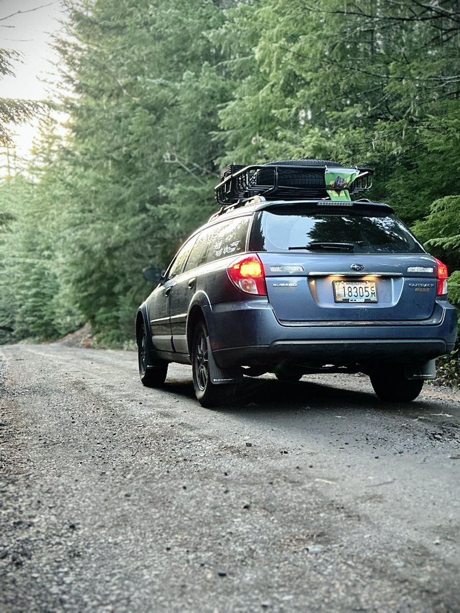 kalimoding's tweet image. average day in the pnw