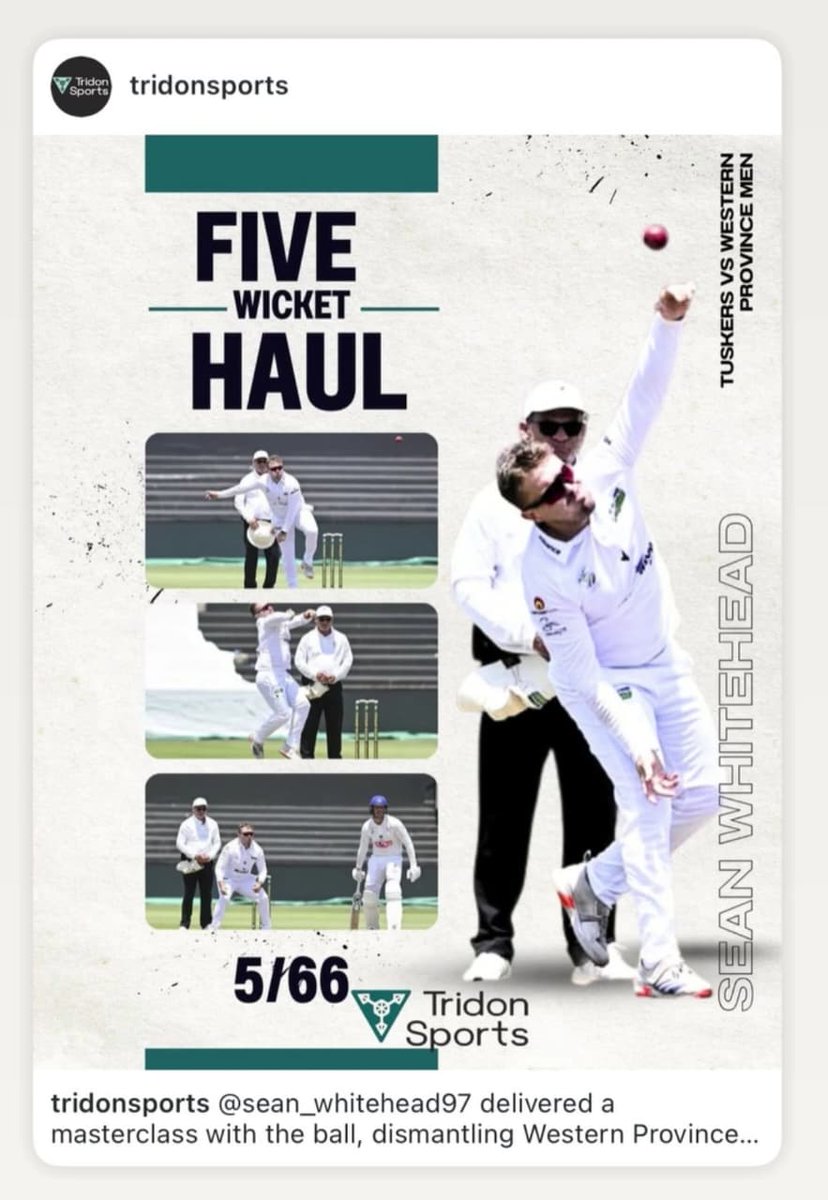 lydia van der merwe tweet media