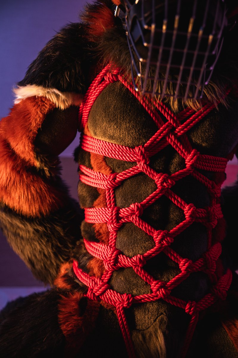 AK-9🚨 tweet media