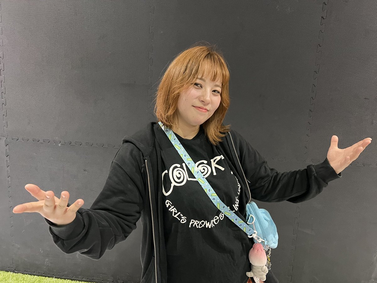 あきらページ Arctic Cat Mid Windshield - Black - 2012-2017 ZR F XF M 6000 8000