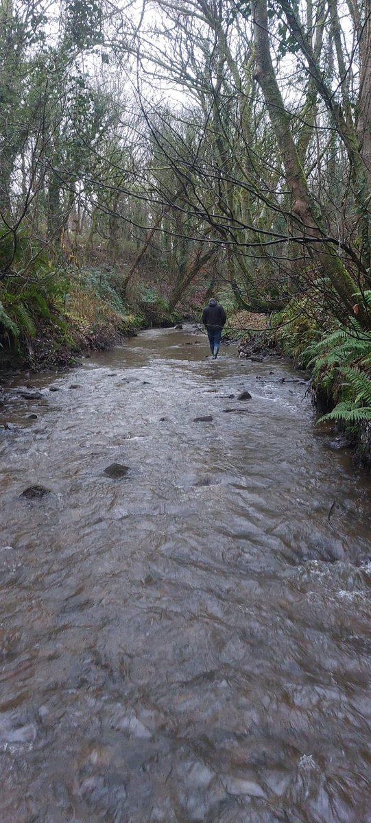 Friends of Tawd Valley tweet media