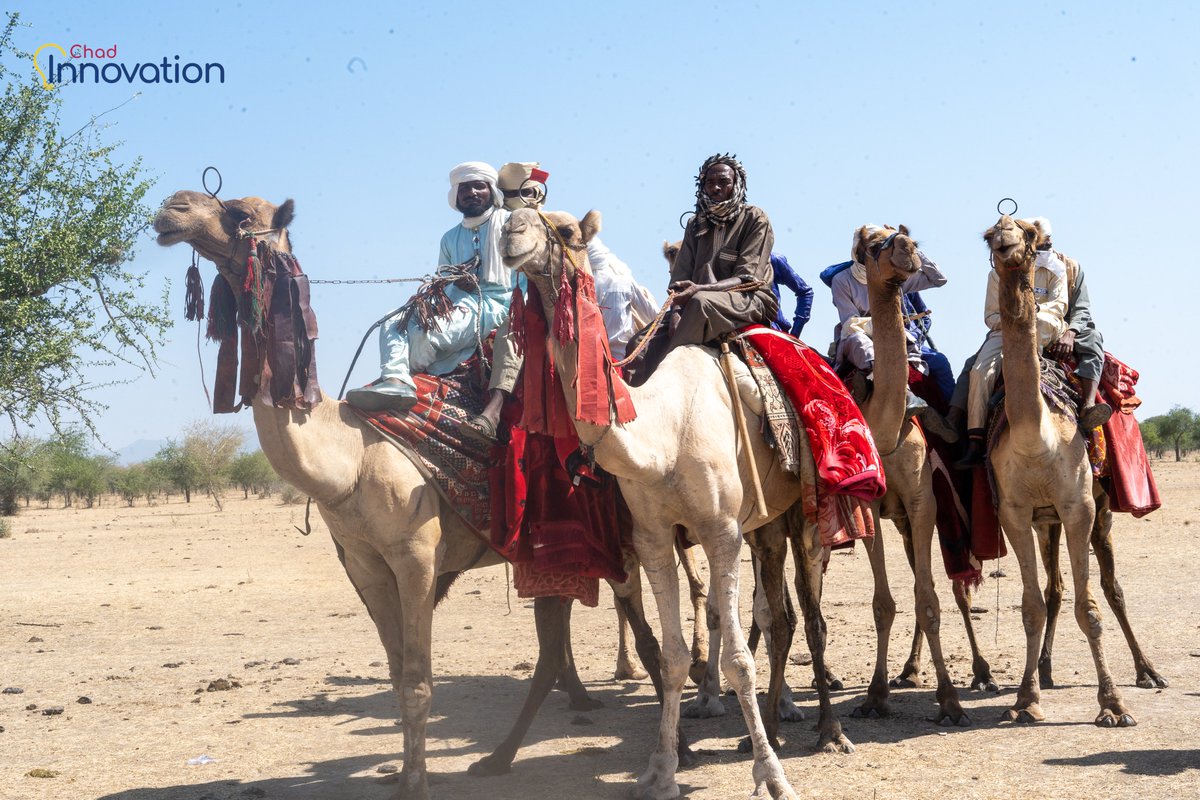 Chad Innovation Hub tweet media