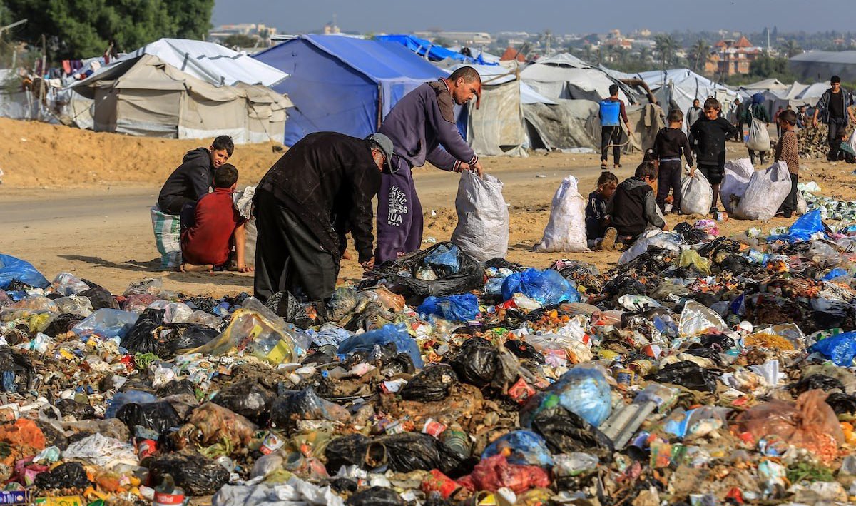 Gaza Notifications tweet media