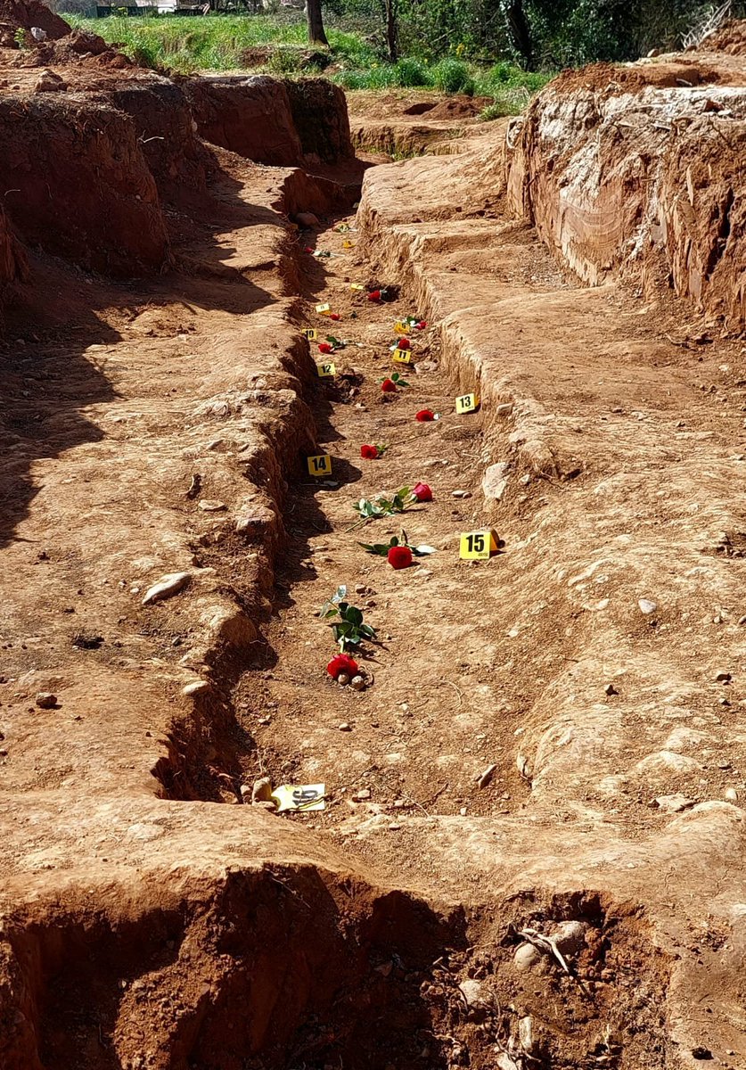 Igual es bueno que empieces a pertenecer a la Asociación para la Recuperación de la Memoria Histórica antes de que termine este año.  Lo puedes hacer en este enlace: memoriahistorica.org.es/boletin-de-afi…