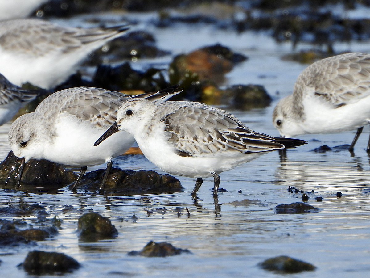 Rob Johnson tweet media