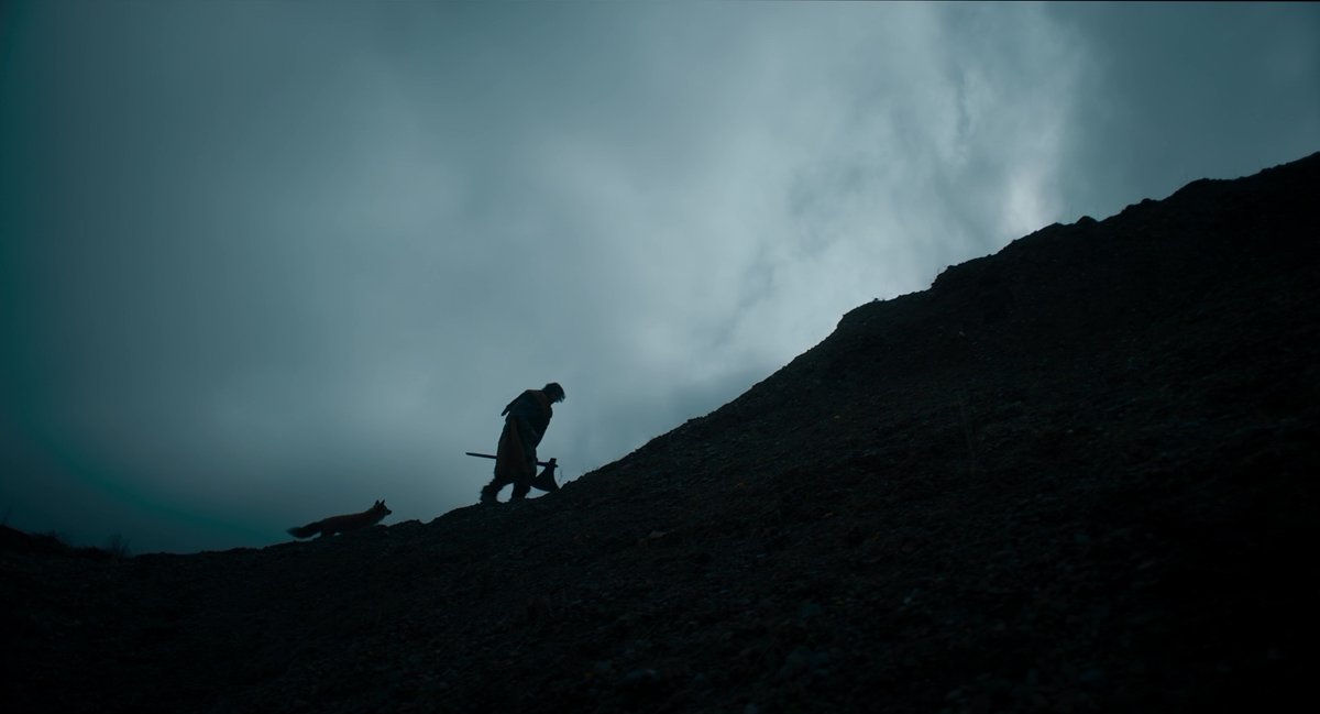 filmfr4me's tweet photo. The Green Knight (2021)
Director: David Lowery https://t.co/lc9JIxExme