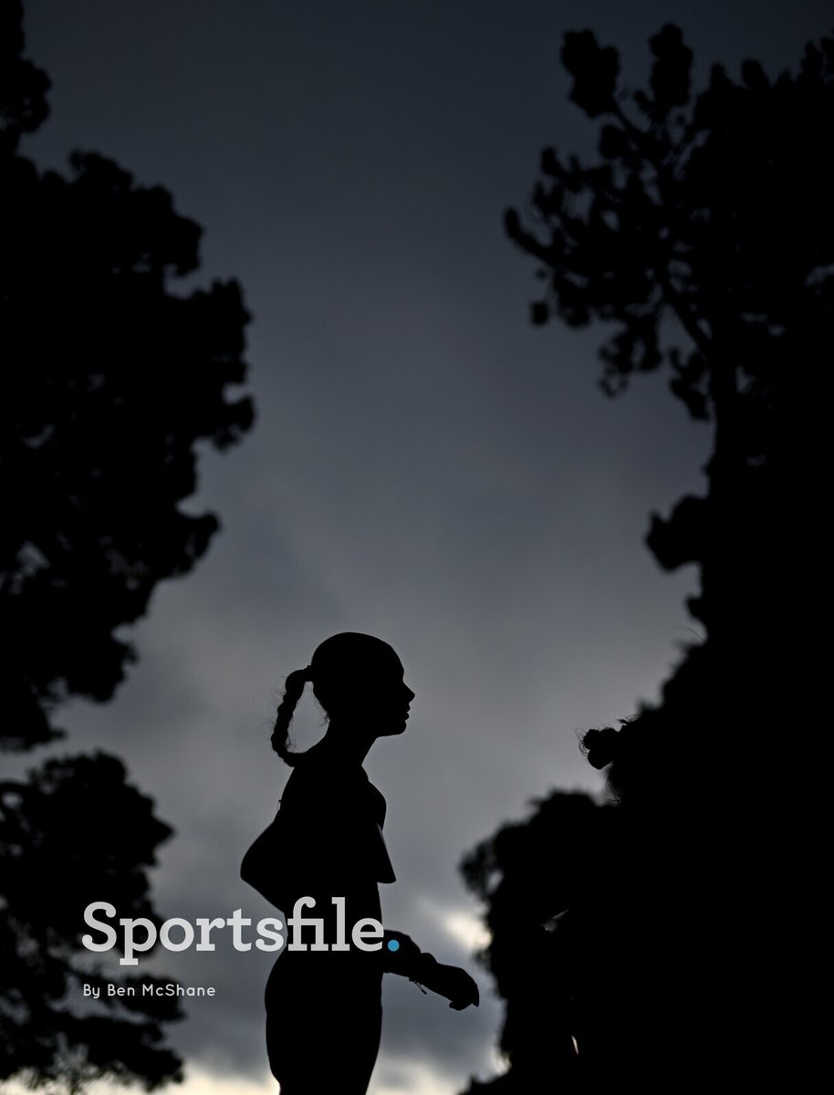 sportsfile tweet media