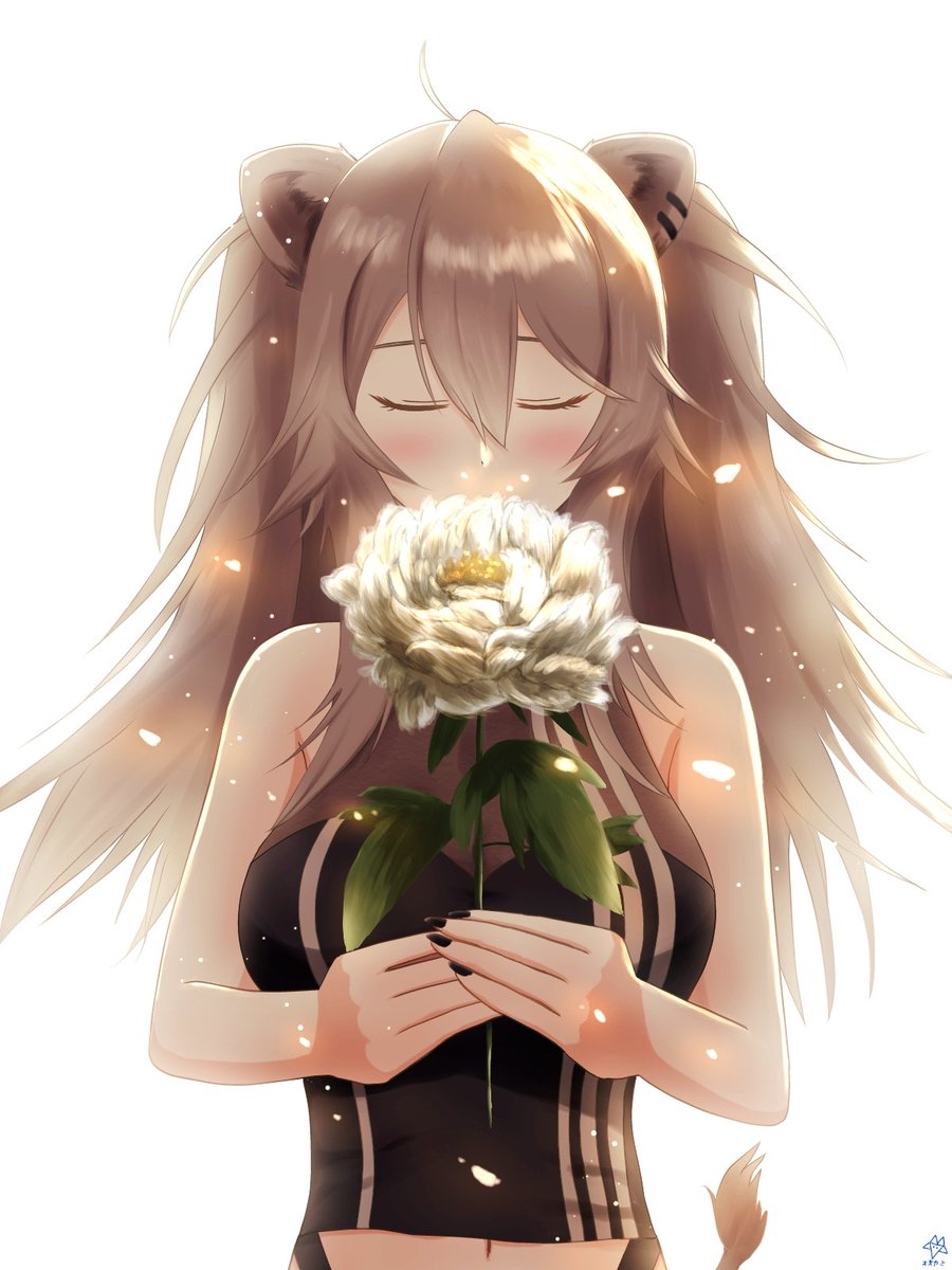 sasuraiookami's tweet photo. 牡丹の花言葉は｢王者の風格｣｢高貴｣｢思いやり｣💐

#ししらーと https://t.co/MWNGao5RQL