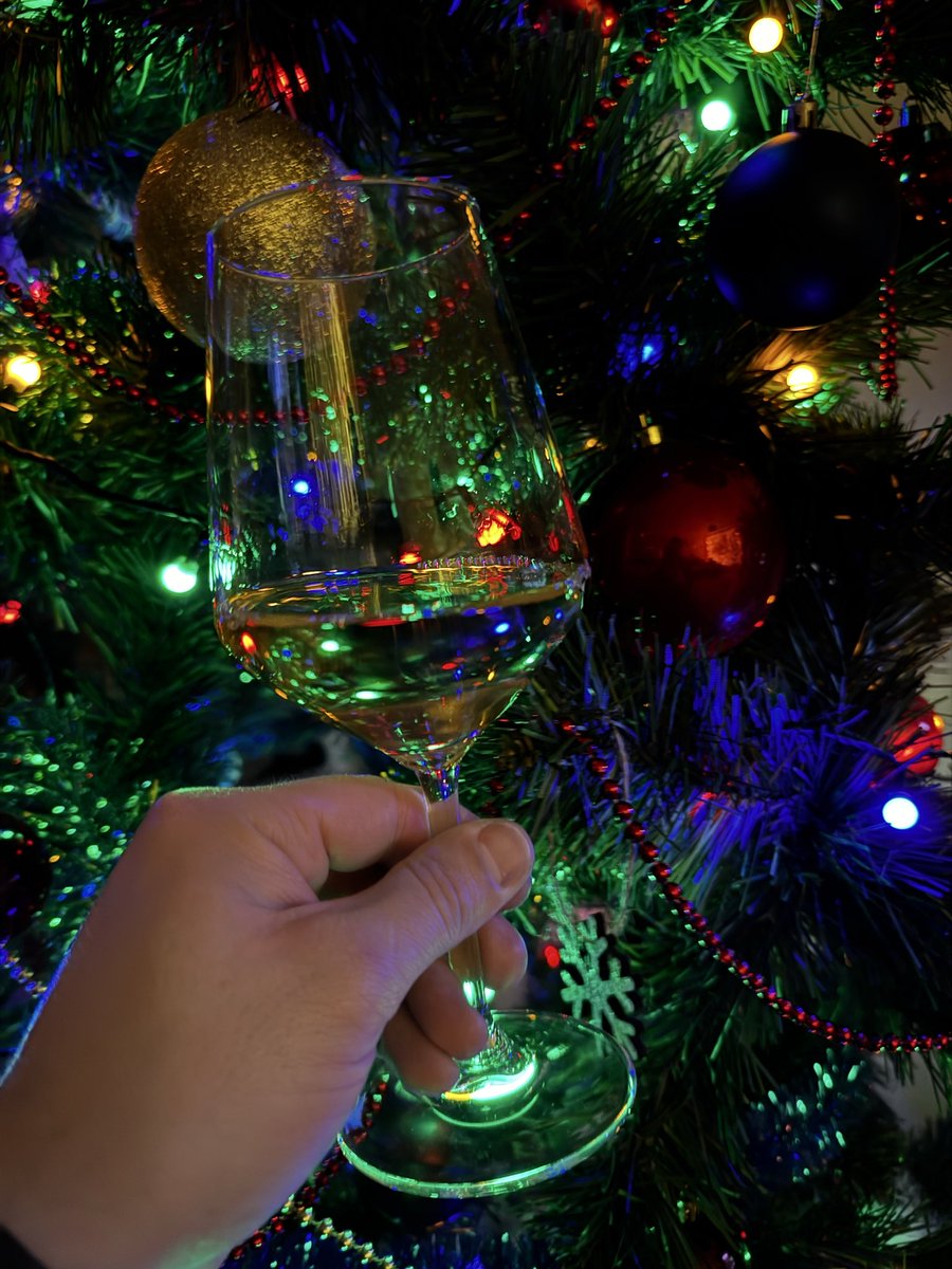 PandaWell08's tweet image. The Christmas tree is decorated, and Harry Potter is on TV 🎄🎁🍾🥂🎅