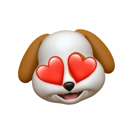 Pup Anakin tweet media