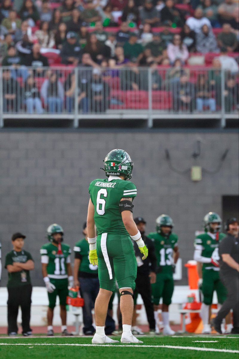 MiroShoots tweet media