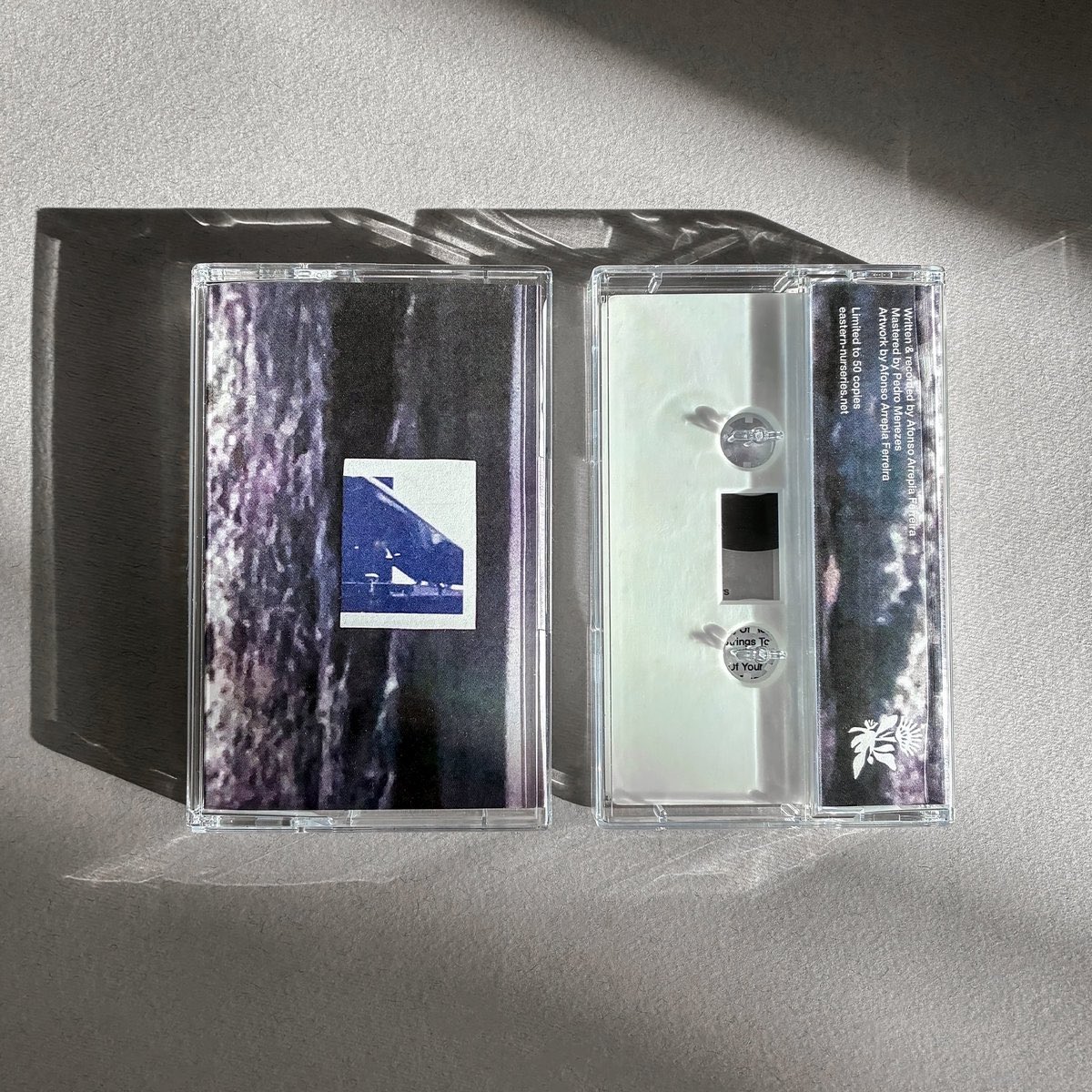 Afonso Arrepia Ferreira tweet media