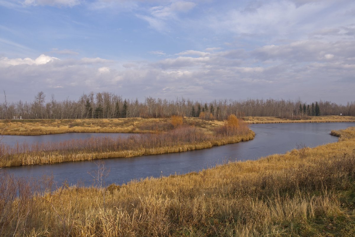 MamoonRina's tweet photo. Pylypow Wetlands in autumn.

#photography #nature #landscapes https://t.co/QYVjsm3Z4X