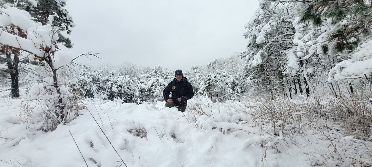 marc carpenter tweet media