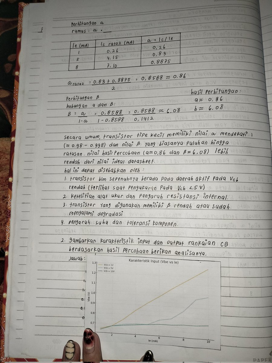 mimi 🪸 tweet media