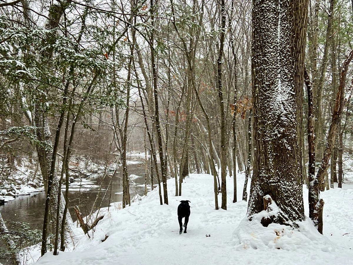 Joey Cozza tweet media