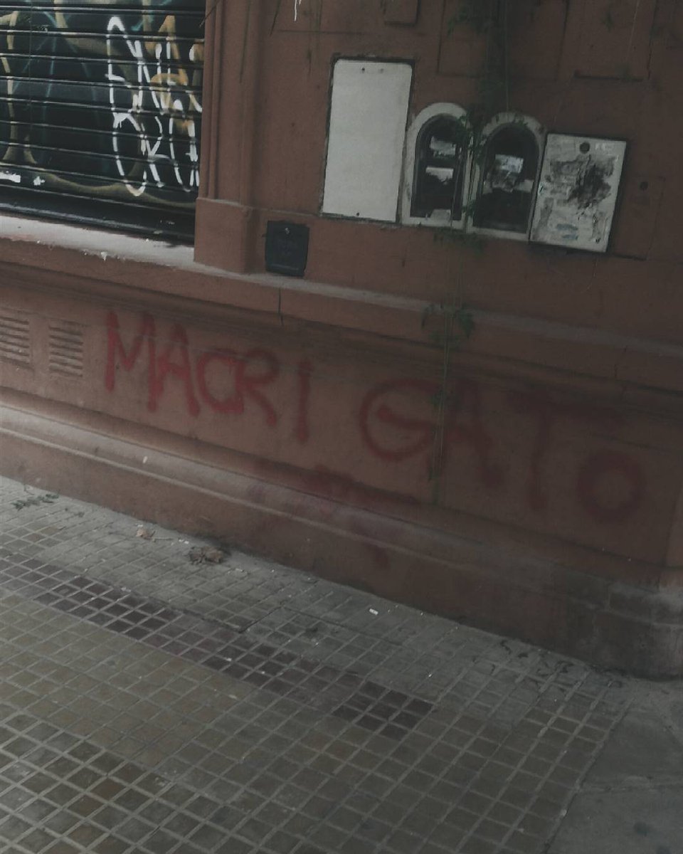 selena siendo fotografiada por las calles de argentina con un grafiti en la pared q dice macri gato es cine