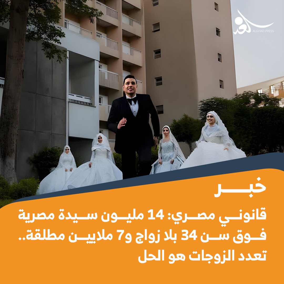 قانوني مصري: 14 مليون سيدة مصرية فوق سن 34 بلا زواج و7 ملايين مطلقة.. تعدد الزوجات هو الحل 