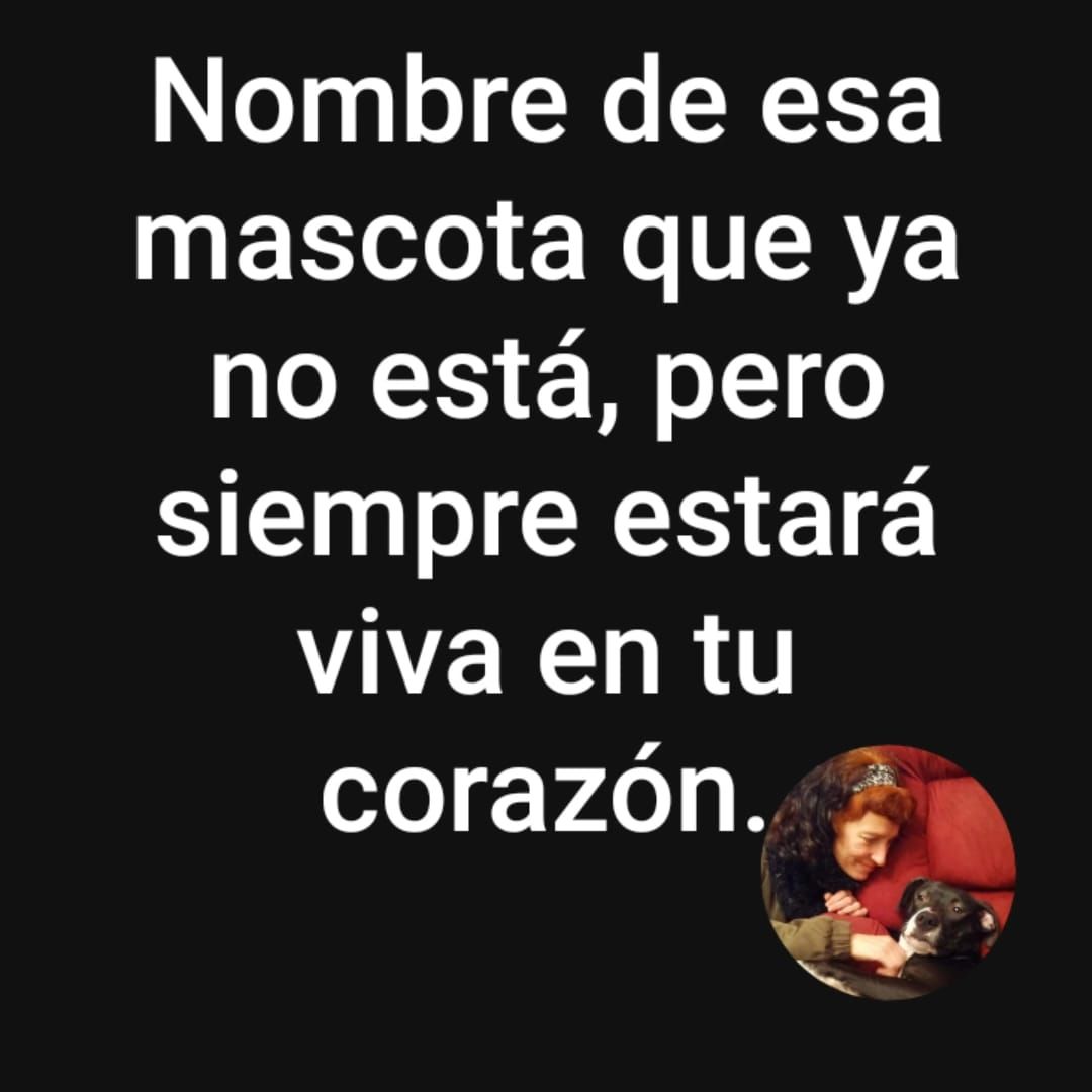 Errores gramaticales tweet media