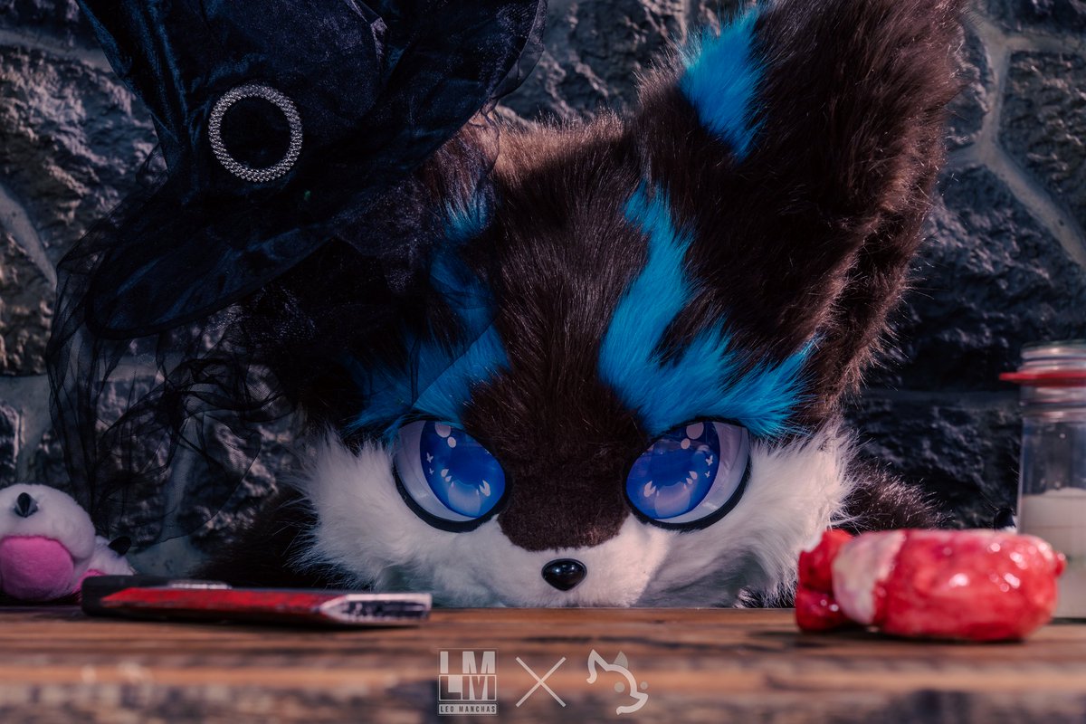 Kinhjal - The Kemono Husky 🇪🇺 (@KemonoKinhjal) / Posts / X