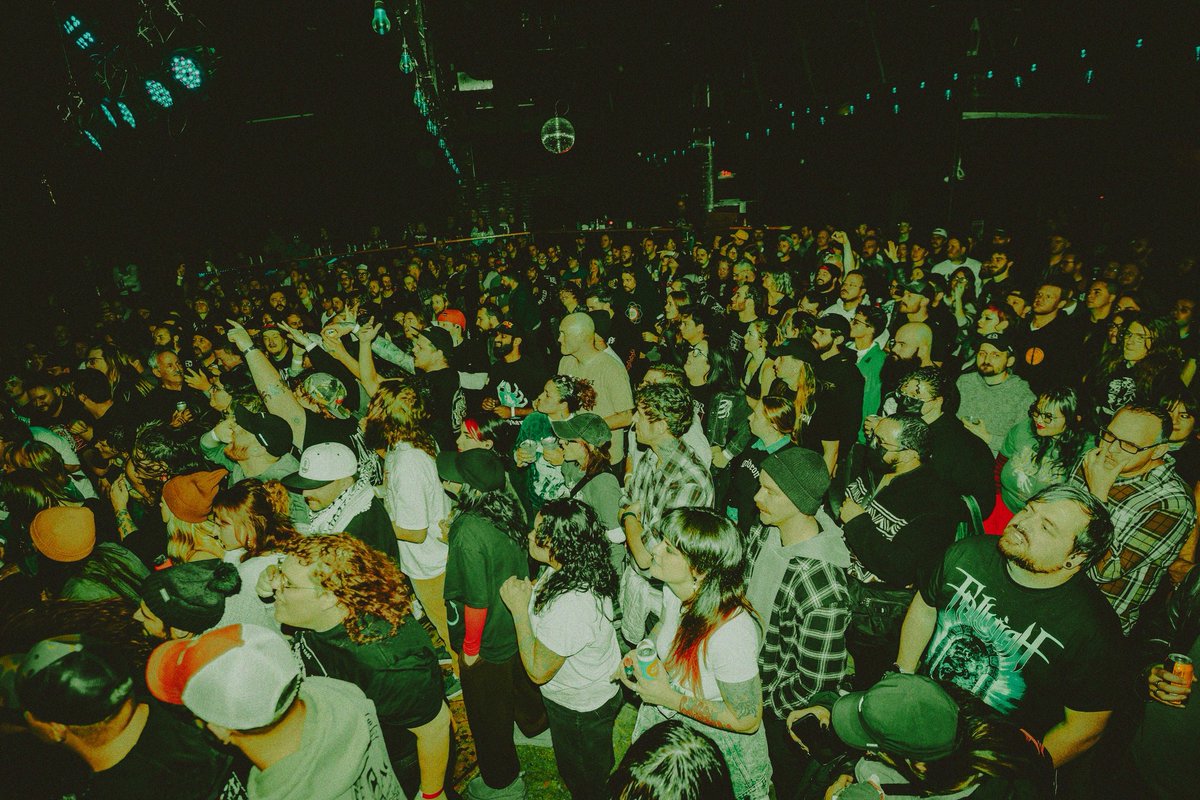 greyhaven tweet media