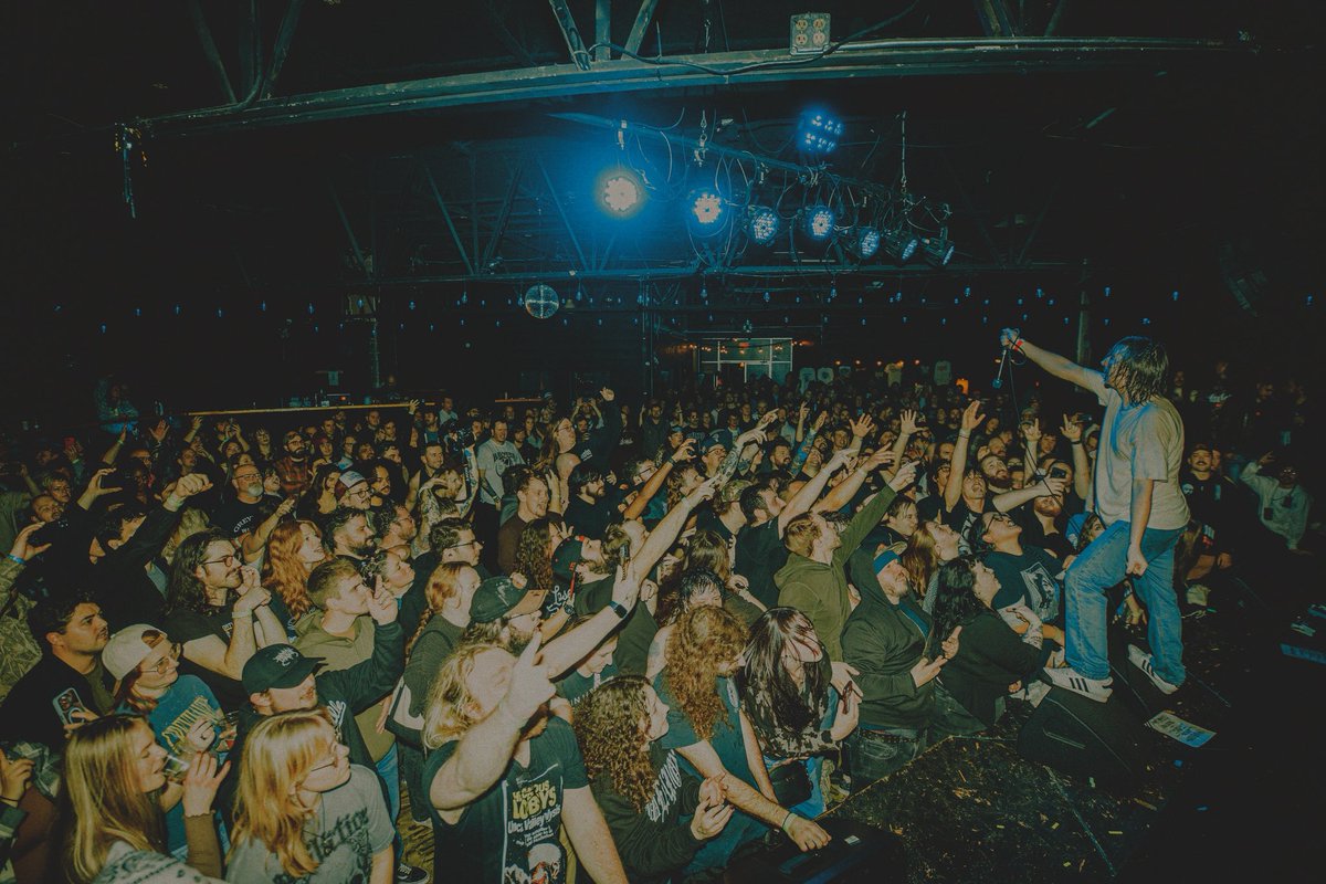 greyhaven tweet media