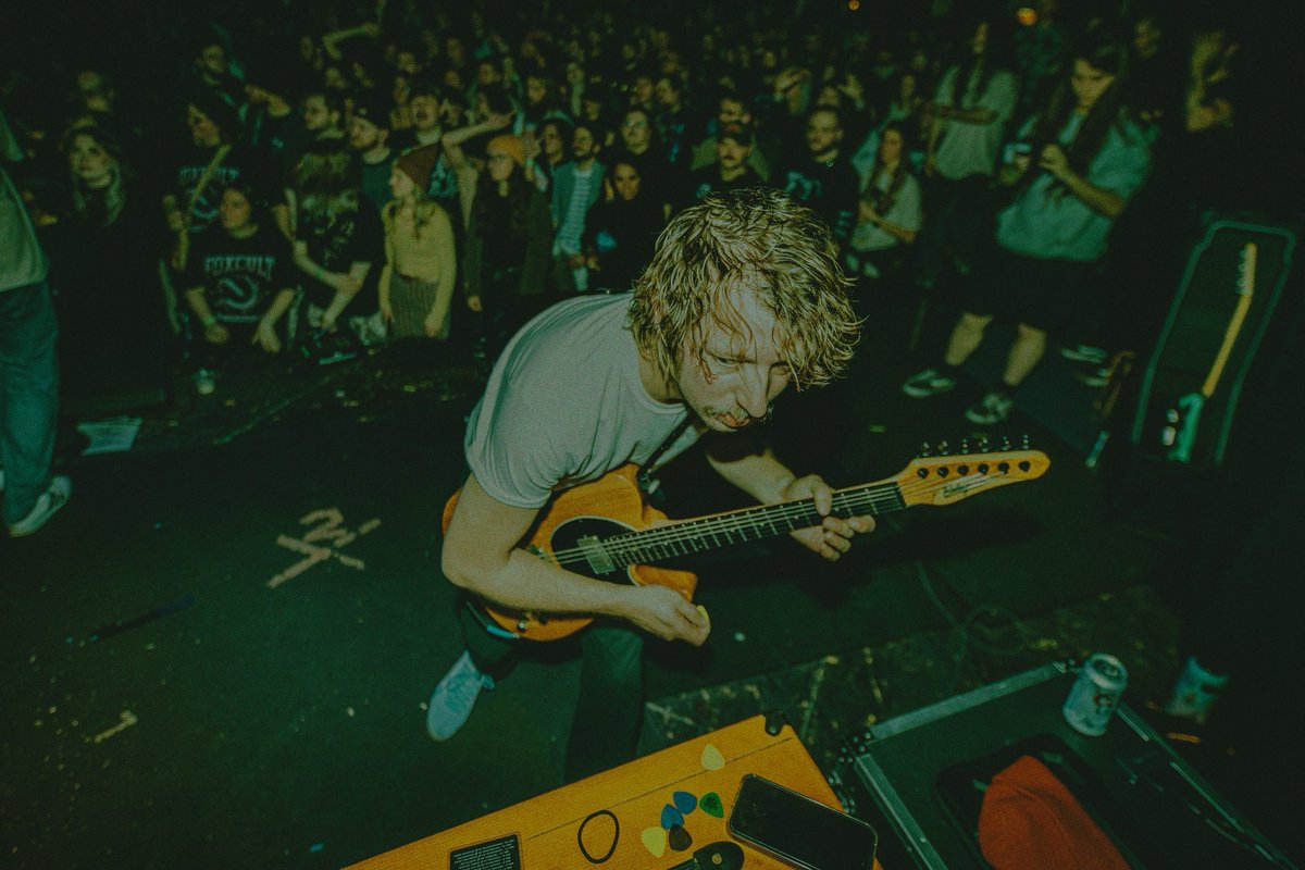 greyhaven tweet media