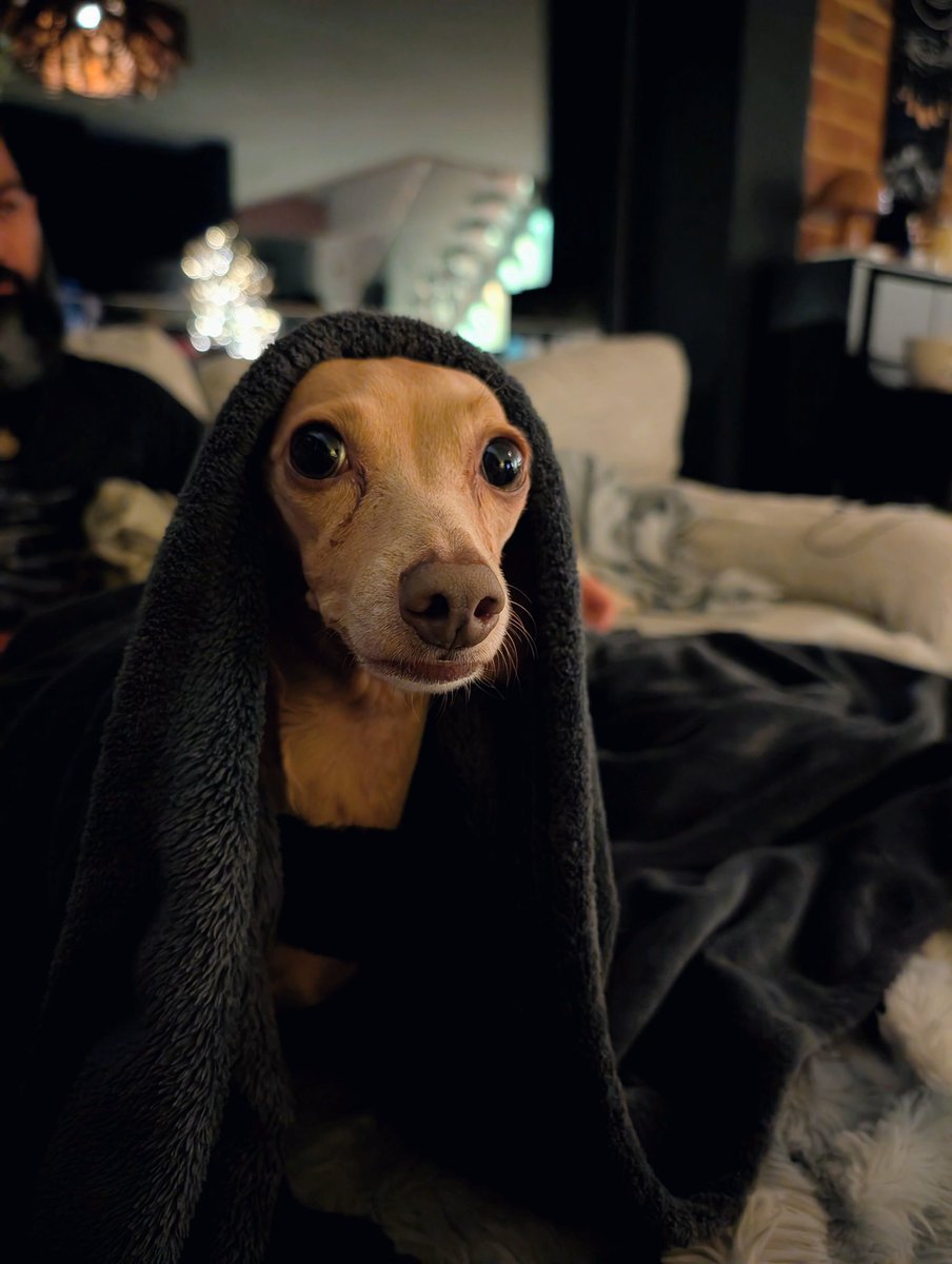 tamara haasen tweet media