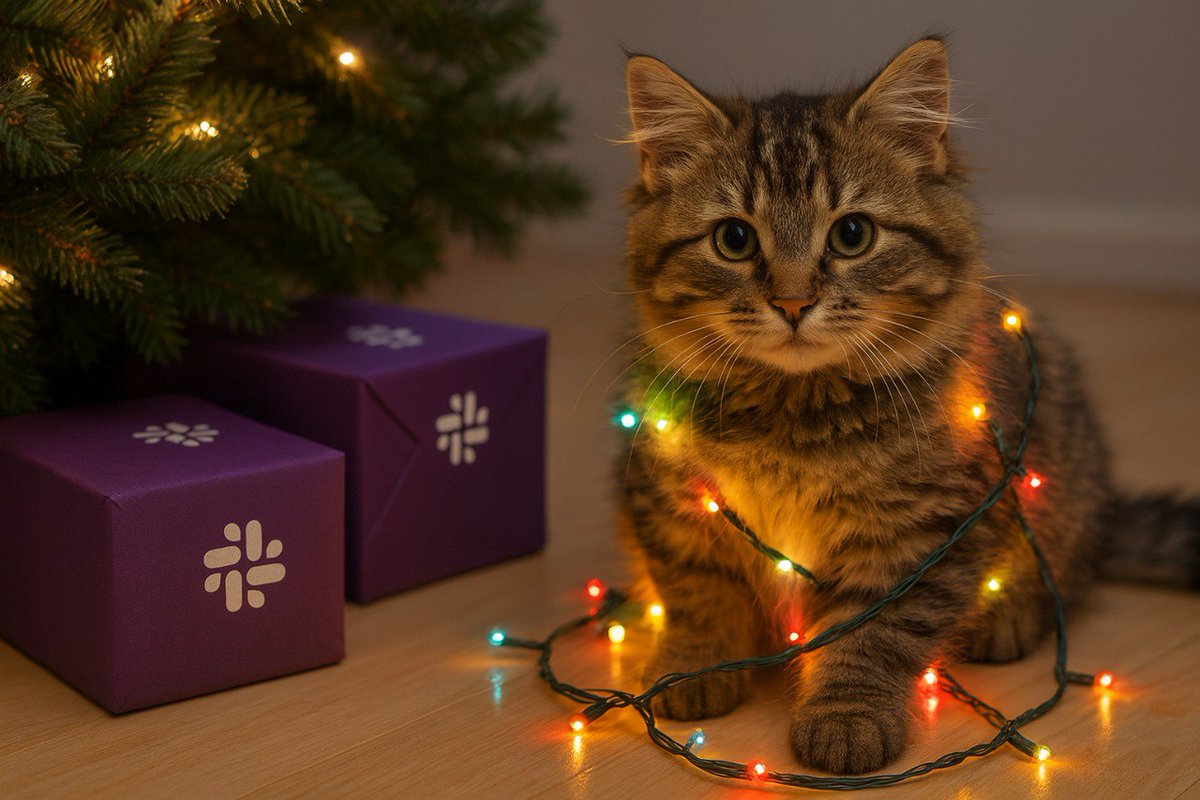 When everyone’s talking Christmas, but you’re so deep in crypto you forgot what year it is.

#MerryBankofLedger