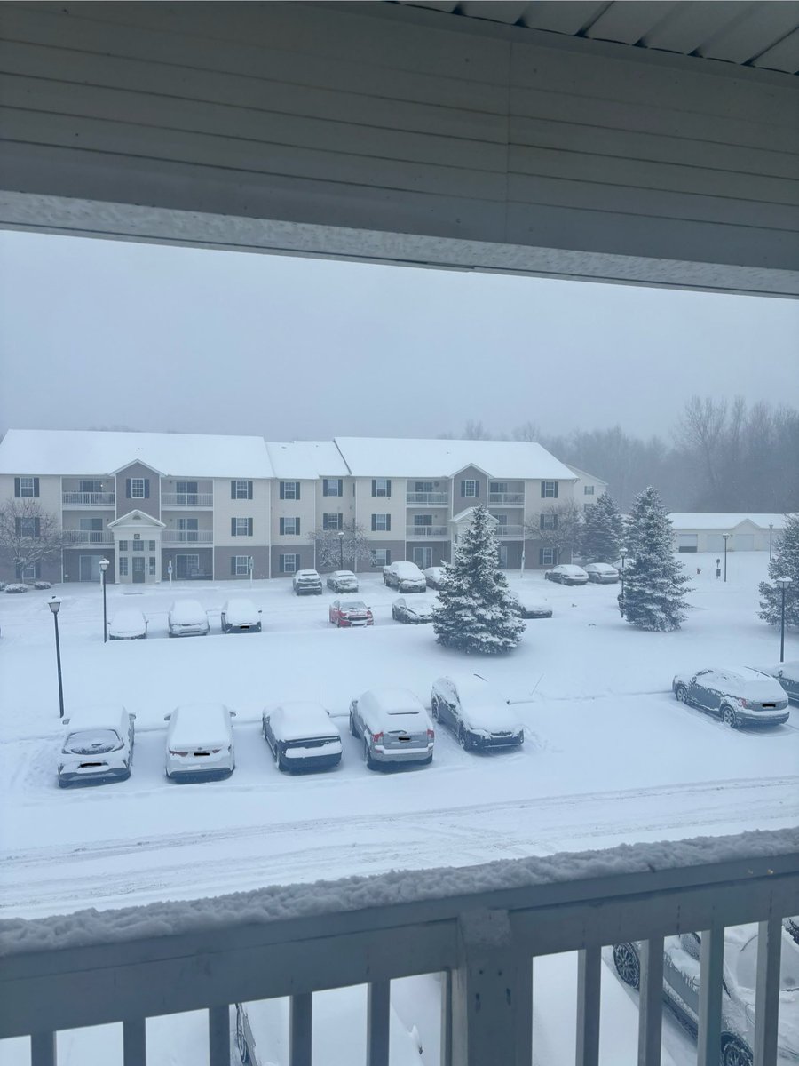 The Bloomin’ Onion | **SUBMISSIONS ALWAYS OPEN** tweet media