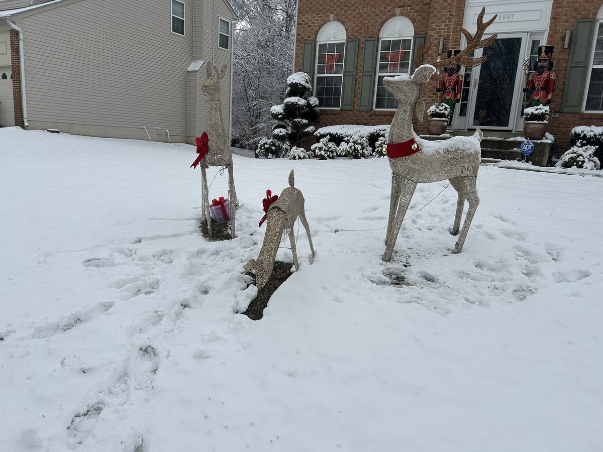 Denise Douglas tweet media