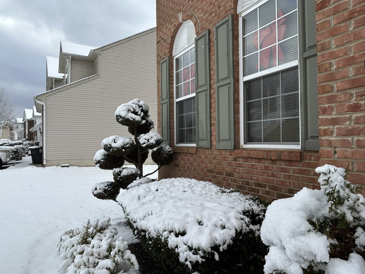 Denise Douglas tweet media