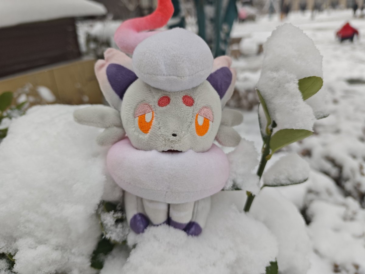 下雪啦