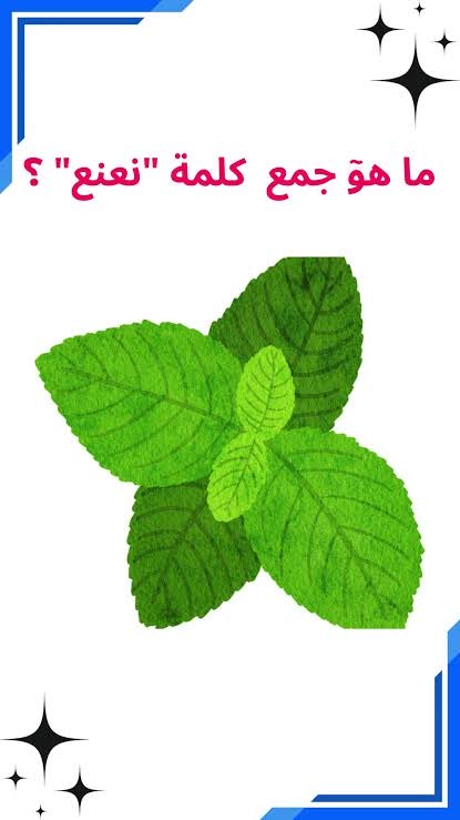 سعود tweet media