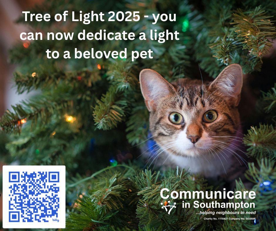Communicare_SO's tweet photo. 🐾 Remember a beloved pet this Christmas - through our Tree of Light campaign, you can sponsor a light in memory of a cherished pet and keep their spirit shining bright this festive season.
Closing date: December 31. https://t.co/eG0Ydm6CjB💙 https://t.co/ITRMEZKMbS
