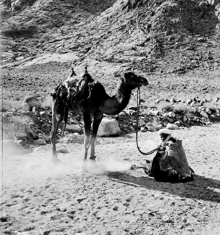 Qhta10ni's tweet image. النفوس العظيمه تعرف اللّي تبيه
ما تدوّر رضا العالم وتركض وراه

من يجامل وجيهٍ ويستحي من وجيه
راح عمره وهو يمشي بدون اتجاه 

البس اللي يعجبك واكل ماتشتهيه
دامك في طاعة الرحمن عيش الحياه

لا تروح لمكان الا وراحتك فيه 
ولا تجي من مكان الا بـ سيره وجاه