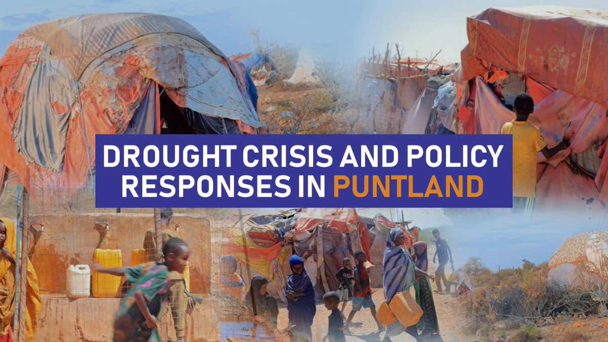 IRIS Institute tweet media