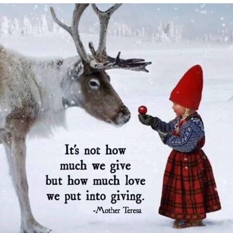 Staceyk51's tweet image. My mum LOVED Christmas and many of my cherished memories are festive get togethers in a bustling house that resembled Santas grotto! So…I’m not sending cards this year. Instead, I’ve donated to my fundraiser in memory of mum 💙🧡 

justgiving.com/page/stacey-ki…