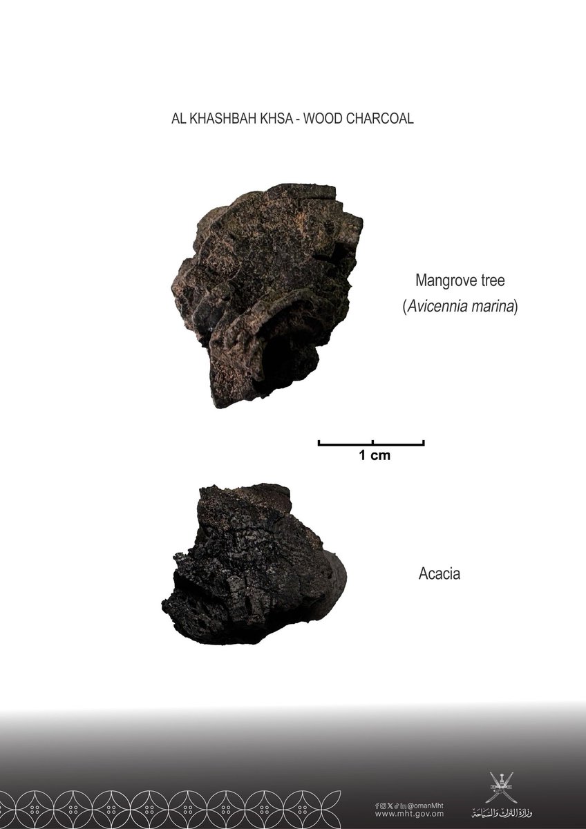 وزارة التراث والسياحة - سلطنة عُمان tweet media