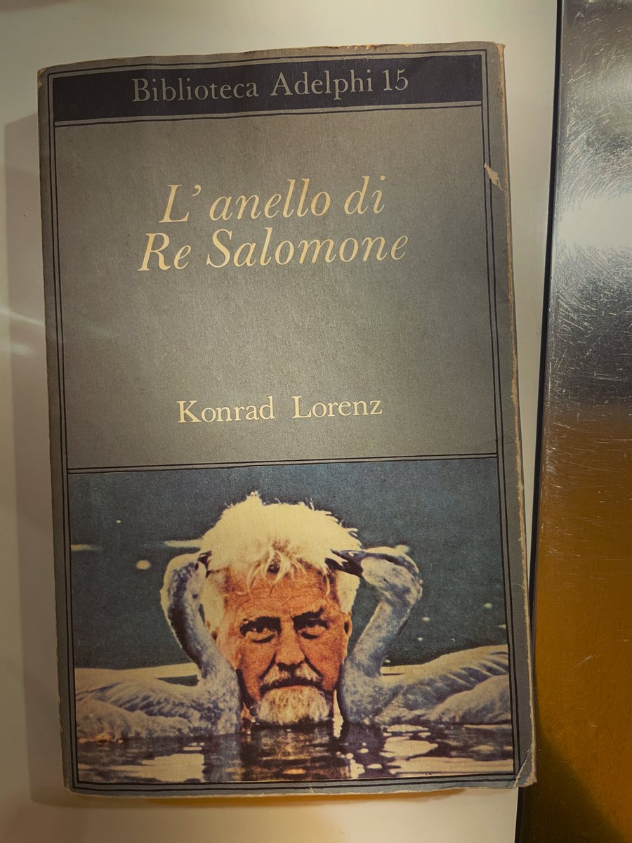 maxthemonkey | maxthemonkey@mastodon.uno tweet media