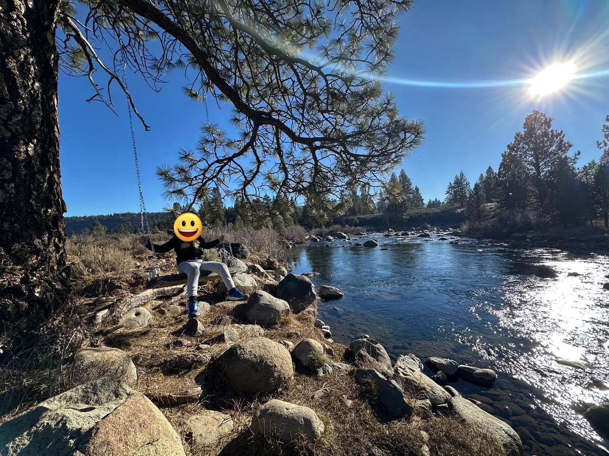 Tim Sweeney tweet media