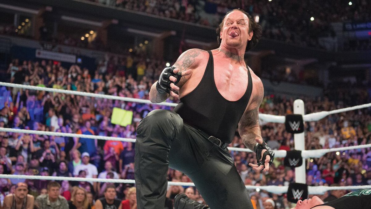 Wrestle Features tweet media