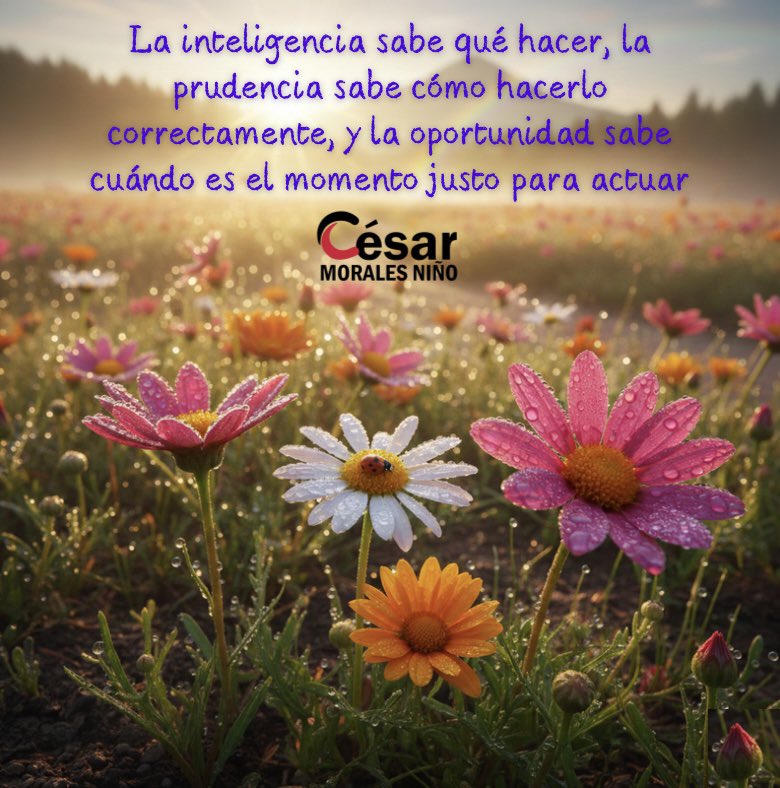 Actúa siempre con inteligencia, prudencia y oportunidad.

¡Bendecido domingo!