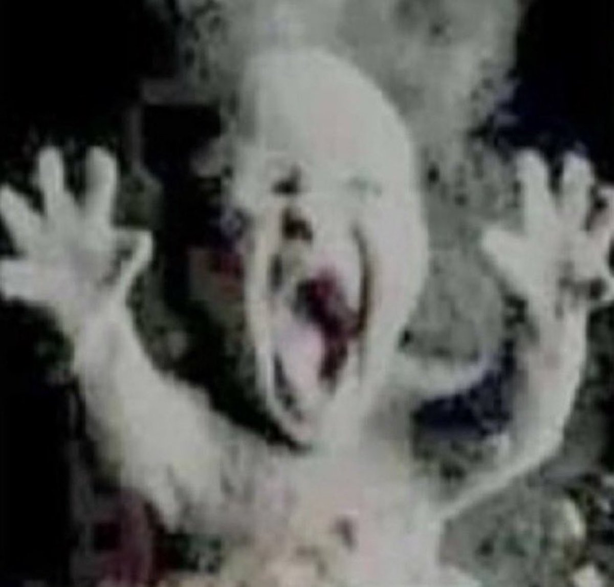 basiliofdp's tweet image. Ontem na confra deram a ideia de dividir o prêmio entre todos que estavam lá (seriam sorteados alguns pix de 1k e 500 que daria uns 250$ pra cada) e eu fui contra… na hora não fui sorteado e saí sem nada.